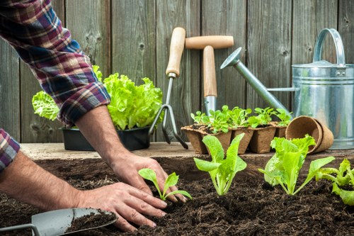 Photograph of a garden bed showing an issue raised for maintenance
