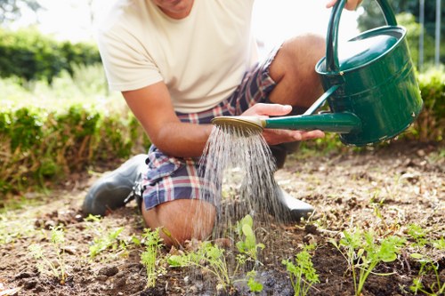 Sustainable gardening practices implemented by Garden Maintenance Barnes
