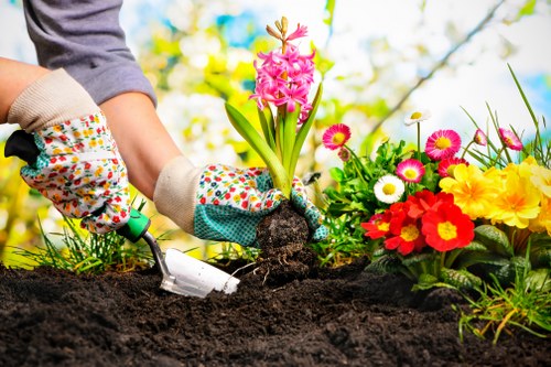 Professional landscapers working on a garden project