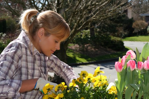 Professional landscape designer planning a garden in Barnes